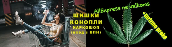ECSTASY Алзамай