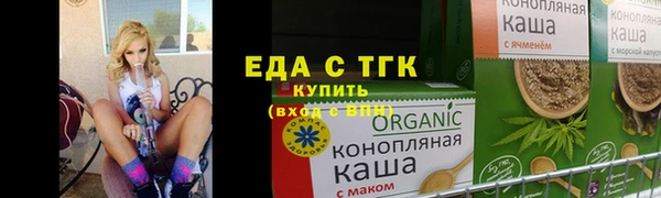 ECSTASY Алзамай