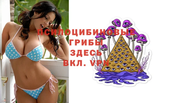 ECSTASY Алзамай