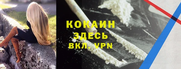 дмт Алексин