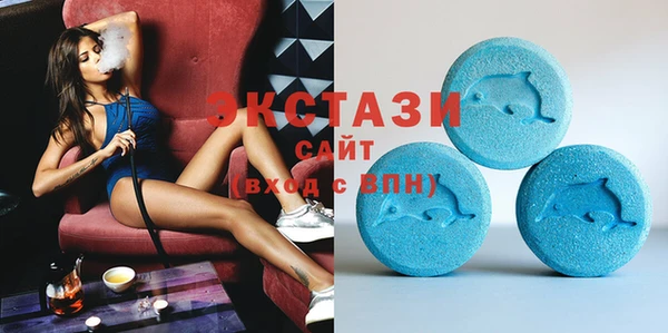 ECSTASY Алзамай